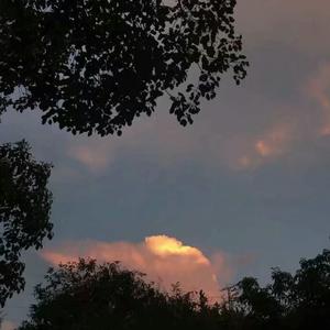 free性户土vidos亚洲
