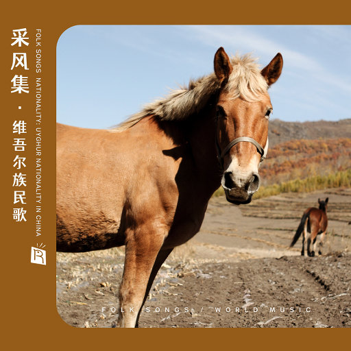 free性户土vidos亚洲
